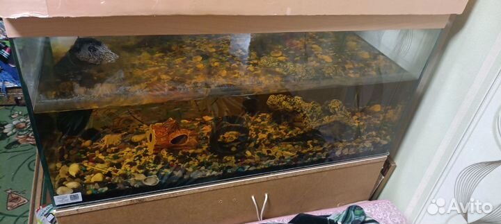 Аквариум с тумбой