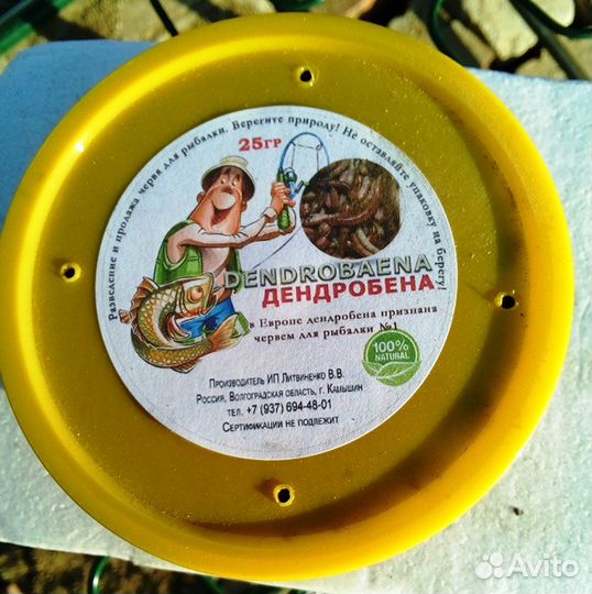 Черви для рыбалки дендробена венета