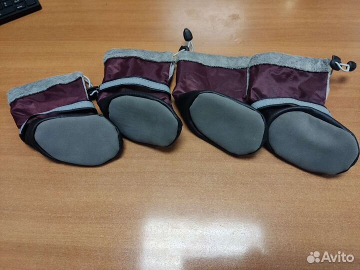 Сапожки для овчарки