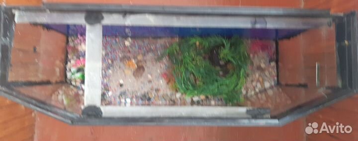 Аквариум гнутый заводской