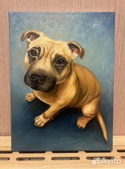 Картина маслом собака