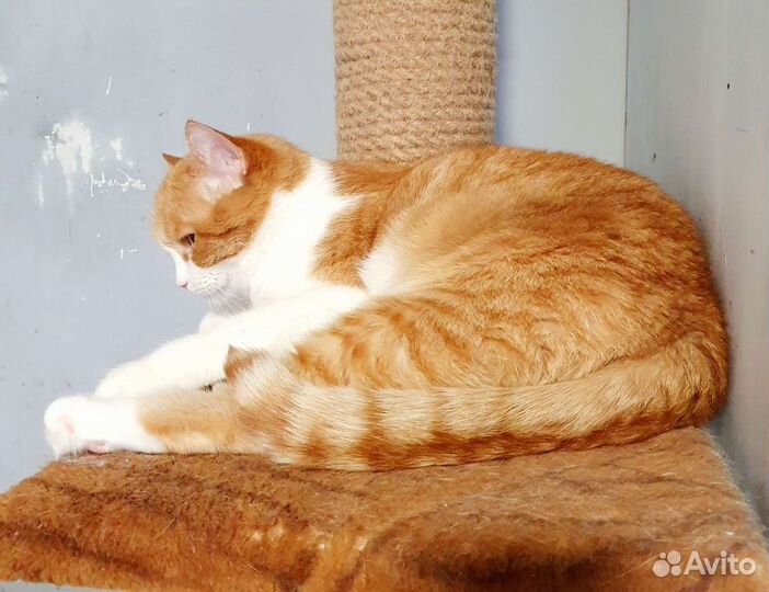 Мама не видит Веснушку,листает,листает, и не видит