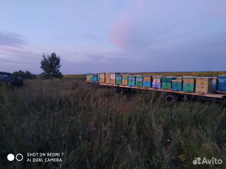 Прицеп для перевозки пчел (пчелоплатформа)