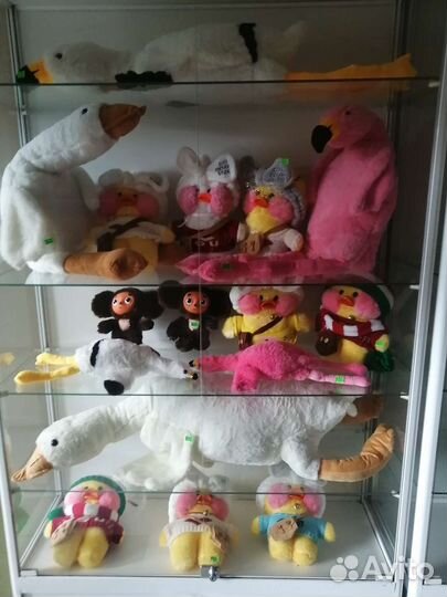 Мягкая игрушка хаски, гусь обнимусь, кот батон