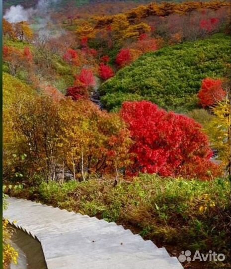 Итуруп экскурсии в группе