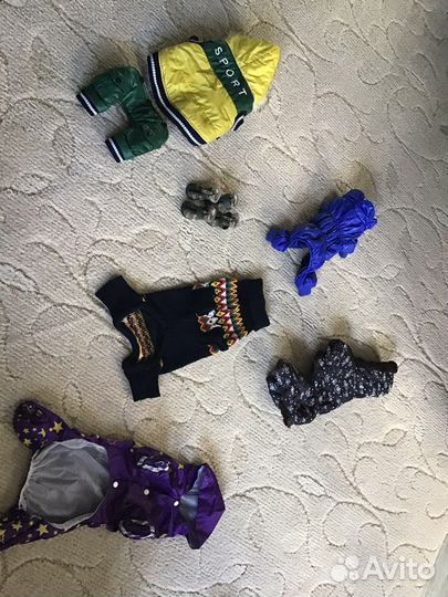 Одежда для маленьких собак