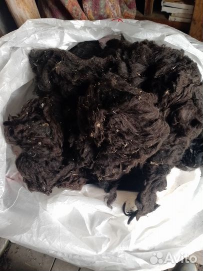 Шерсть овечья
