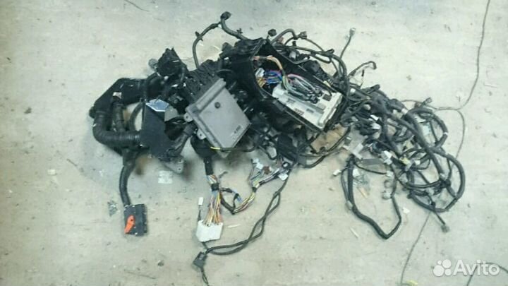Проводка двигателя (коса) Nissan murano 3.5 PNZ51