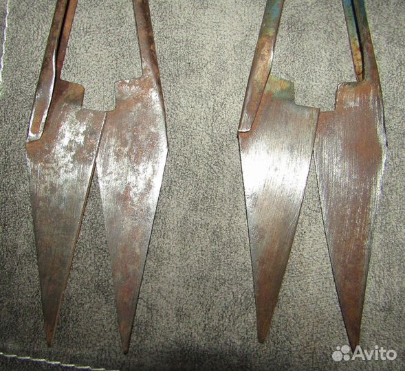 Ножницы для стрижки овец СССР