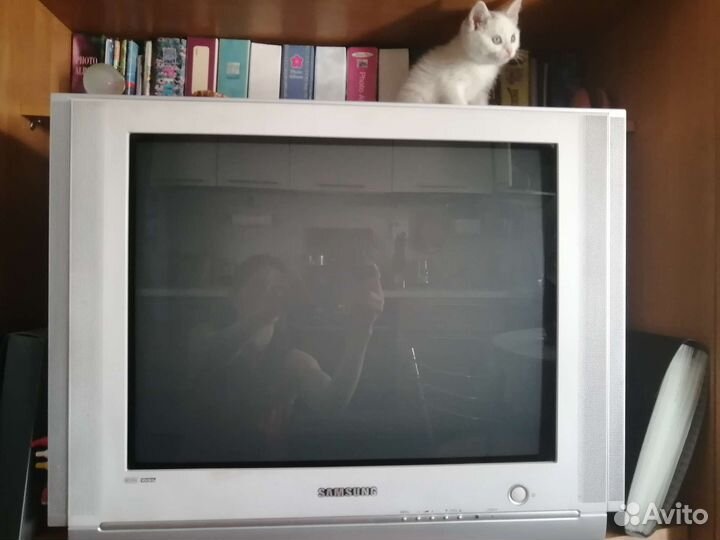 Телевизор Samsung CS-25M6SSQ