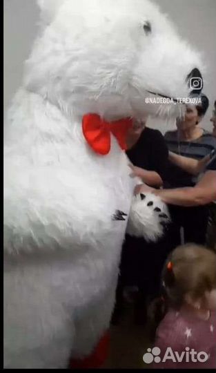 Поздравления от Белого Мишки.Зайки.Панды.Чебурашки