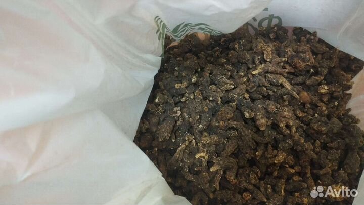 Продам корень калгана