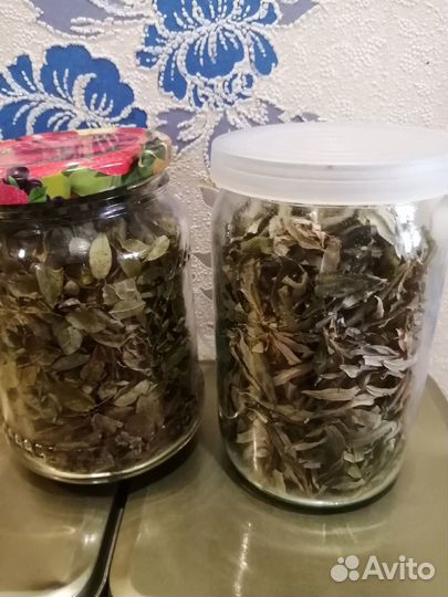 Лист брусники, облепихи