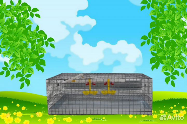 Клетка для перепелов на 30 голов