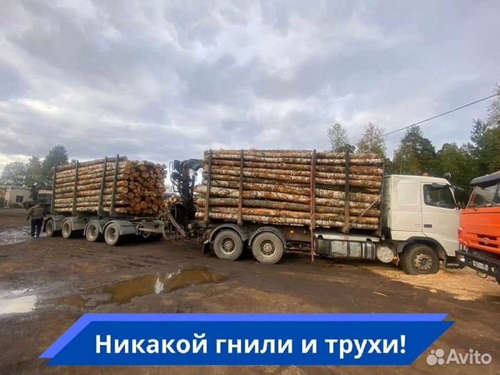 Дрова Качественные