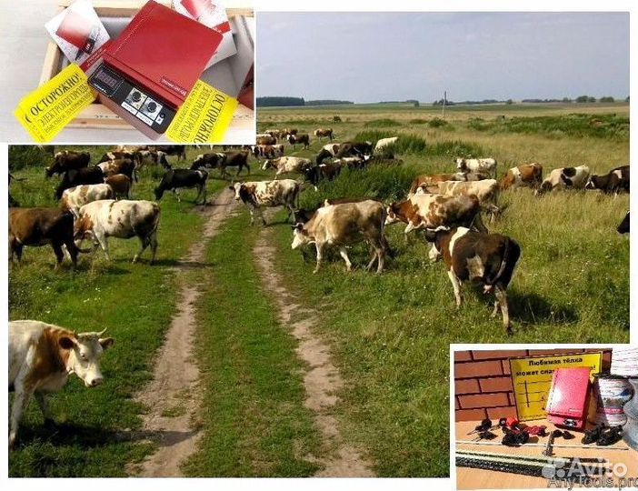 Электропастух