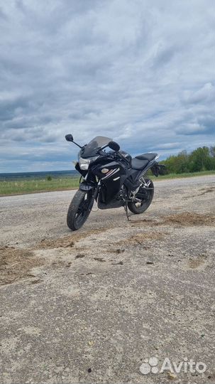 Expert-MOT0 ZF250-2