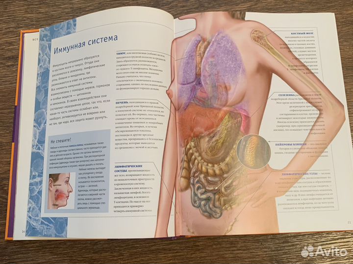 Книга Иммунитет:как укрепить оборону