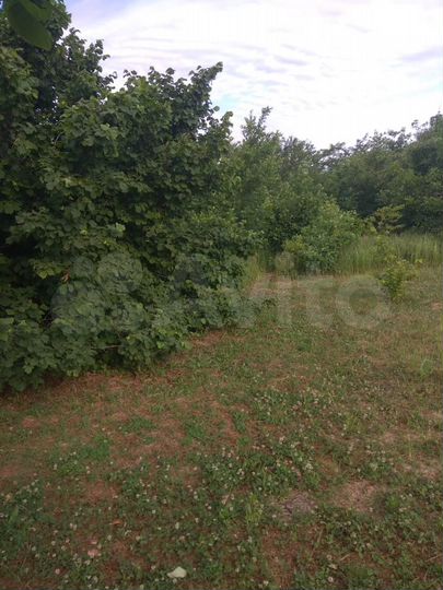 Участок 6 сот. (СНТ, ДНП)