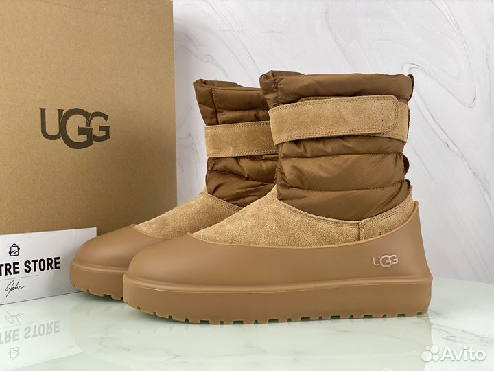 Угги мужские Ugg Classic Short Pull-On Chestnut