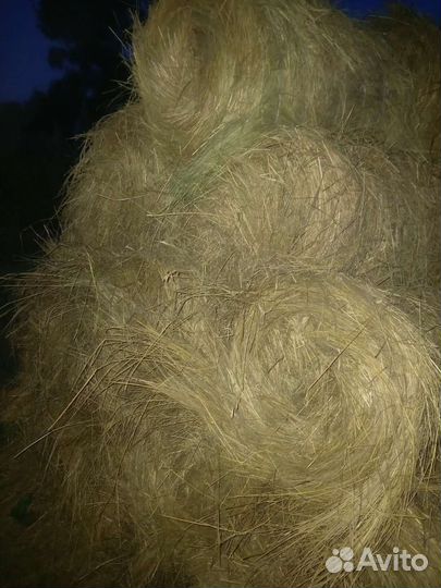 Сено в тюках