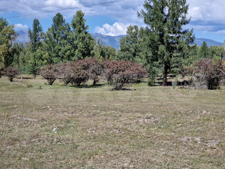 Участок 10 сот. (СНТ, ДНП)