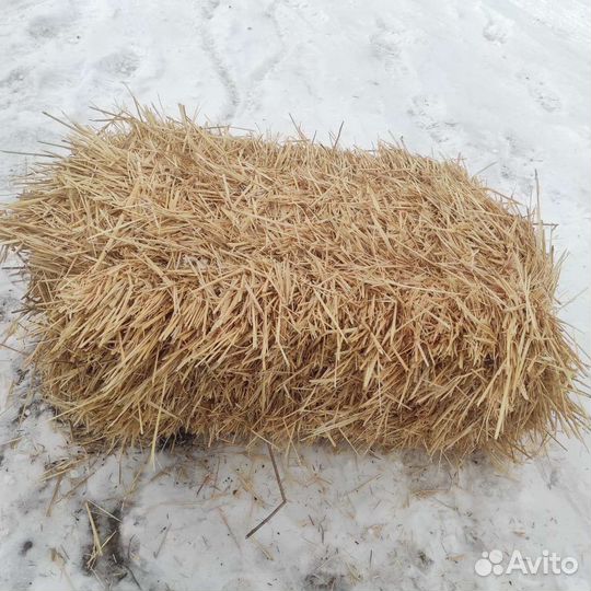 Солома в тюках пшеничная яровая