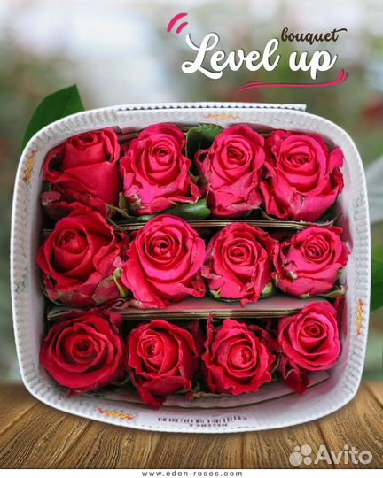 Цветы оптом из эквадора, кении, голландии