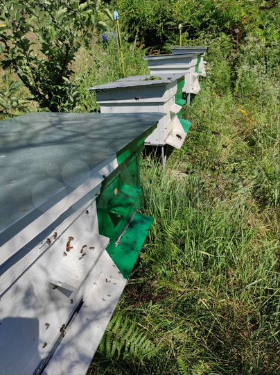 Участок 15 сот. (ИЖС)