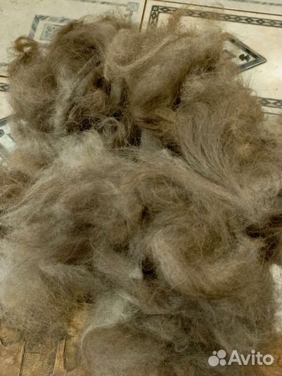 Собачья шерсть продажа
