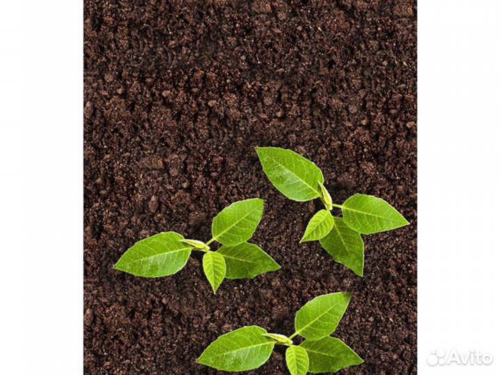 Земля Песок Щебень