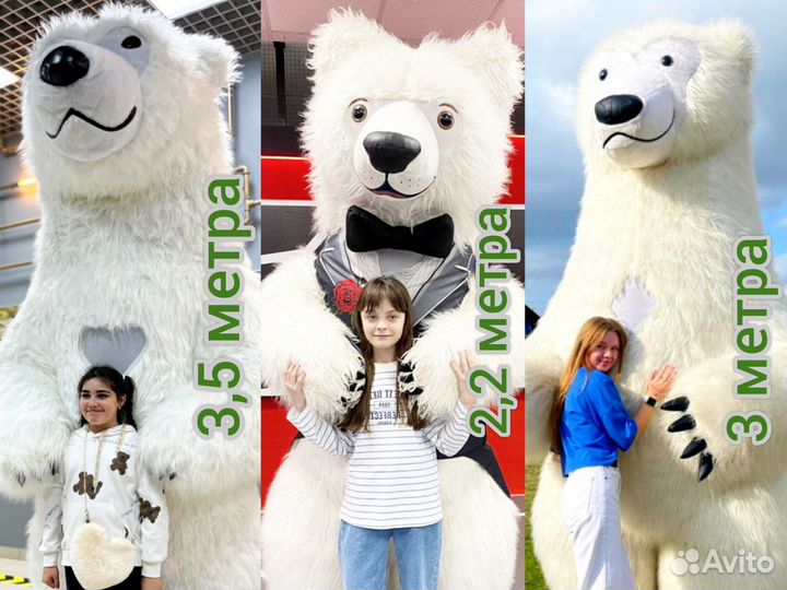 Белый медведь поздравление аниматор белый мишка