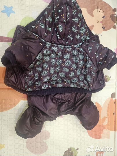 Зимний комбинезон для маленькой собачки