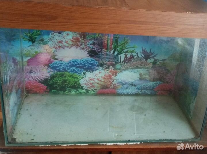 Аквариум возможен торг