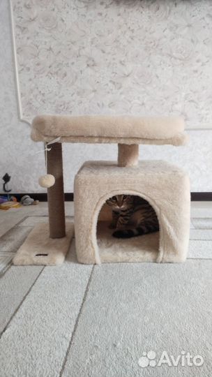 Когтеточка домик для кошки