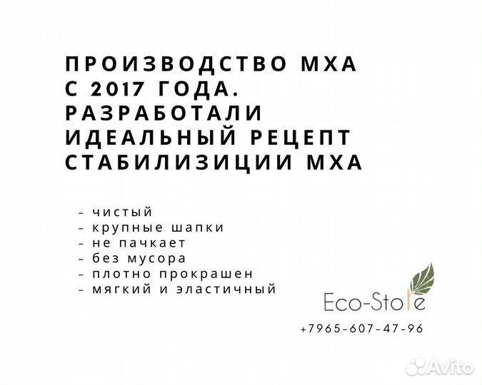 Мох