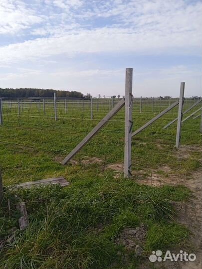 Столбы бетонные(шпалеры)