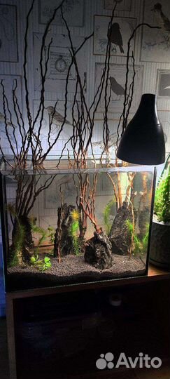 Аквариум