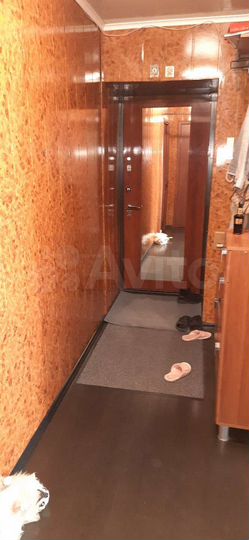 2-к. квартира, 51 м², 7/9 эт.