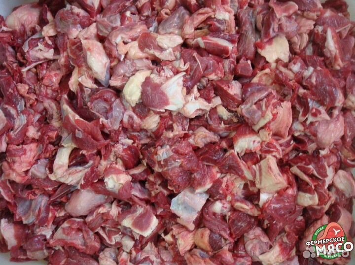 Мясо для собак