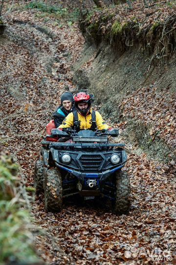 Квадроцикл Sharmax Force 620 Efi (P)