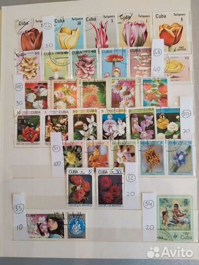 Почтовые марки Куба флора и фауна. Часть 2