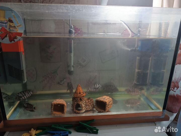 Аквариум