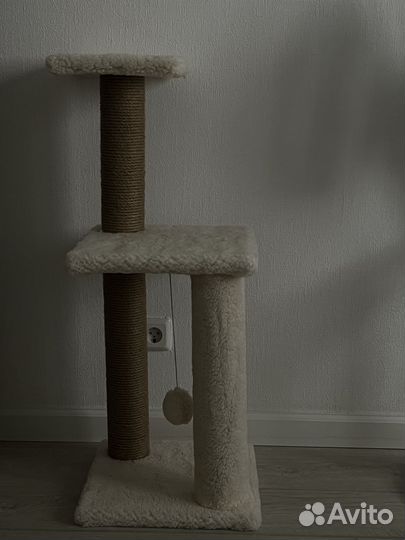 Когтеточка для кошки new