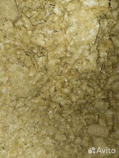 Горчичный жмых