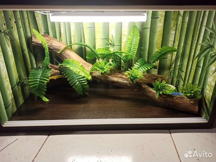 Террариум любой размер