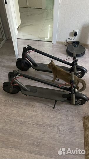 Самокат взрослый электрический бу