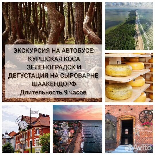 Экскурсии на автобусе
