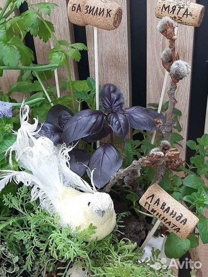 Садик пряных трав