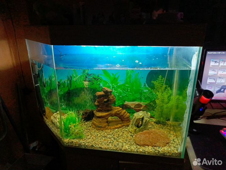 Украшение для аквариума